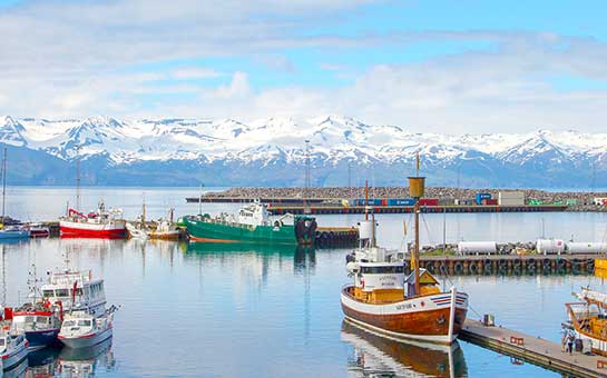 冰岛旅游保险