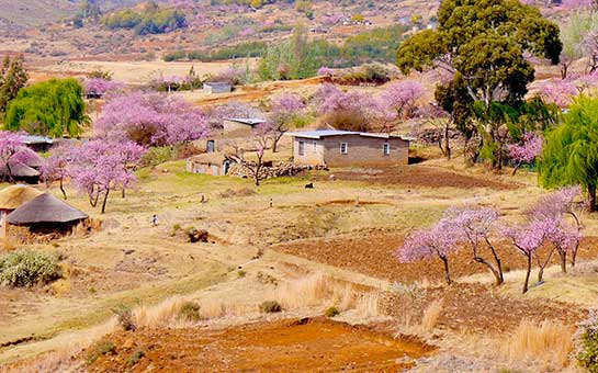 Lesotho Travel Insurance